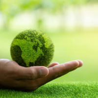 sustainability and resilience